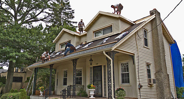 Best Roof Gutter Cleaning  in Ke Providence, LA